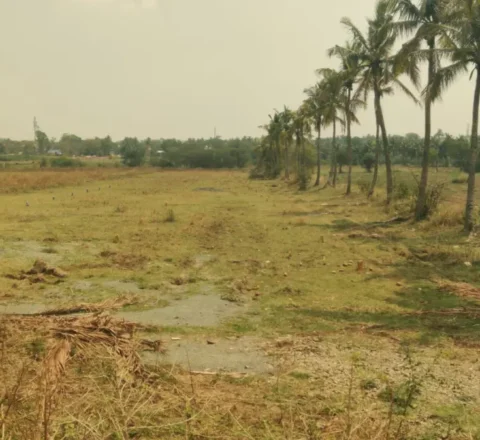 Dharwad – Hosayellapur–Navalur Premium Land Opportunity