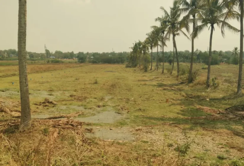 Dharwad – Hosayellapur–Navalur Premium Land Opportunity